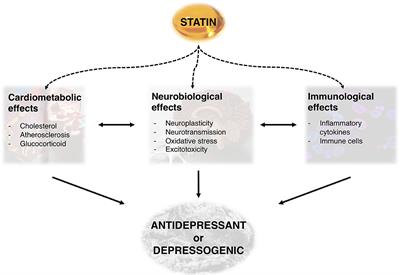 Statins in Depression: An Evidence-Based Overview of Mechanisms and Clinical Studies